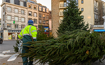 Gestion des déchets verts durant les fêtes